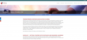 Screenshot of the website for Transforming Distance Education course