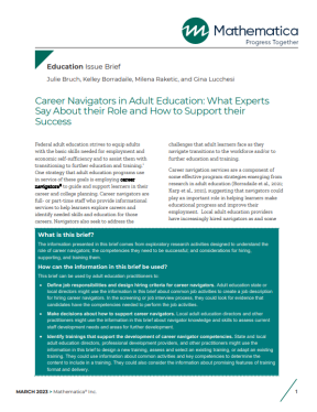 Image of the report cover with the title: "Career Navigators in Adult Education: What Experts Say About their Role and How to Support their Success."