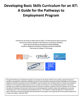 Developing Basic Skills Curriculum for an IET cover